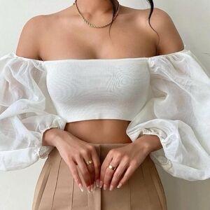 Zara knit top with organza trims Brand new with tags